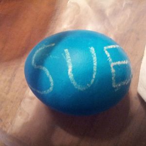 Meet your Posher, Sue